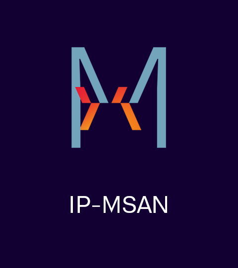 Icon IP-MSAN