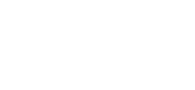 DZS Logo weiß